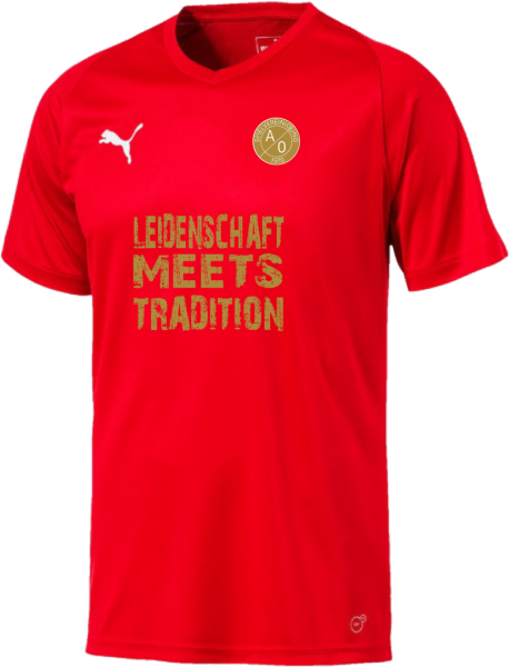 SV A/O Jubiläumsshirt Leidenschaft