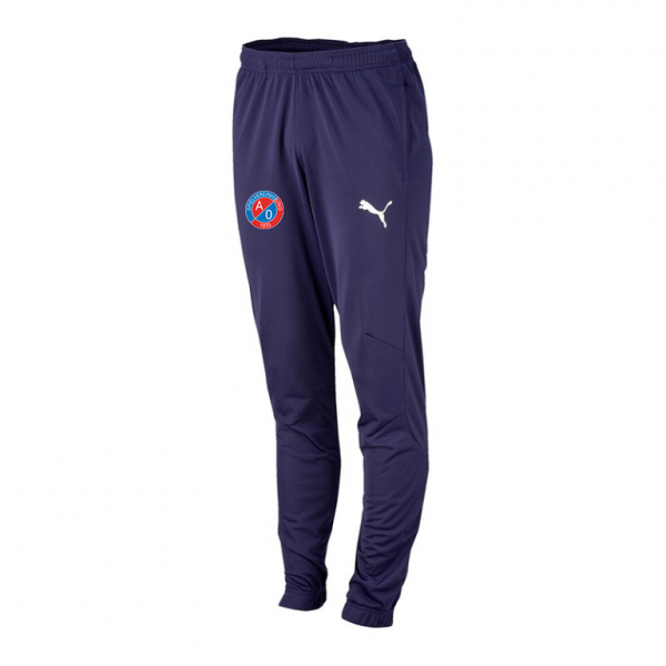 SV A/O Trainingshose - navy