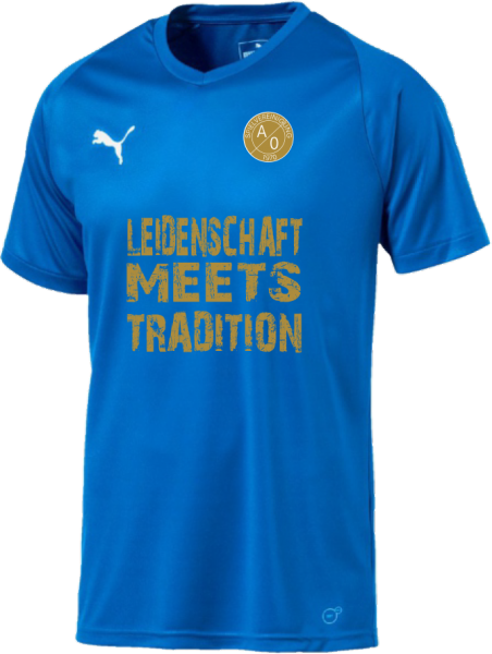 SV A/O Jubiläumsshirt Leidenschaft